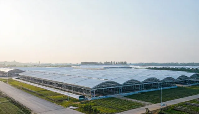技术开发中的检查要点:如何提升定制化能力